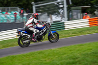 cadwell-no-limits-trackday;cadwell-park;cadwell-park-photographs;cadwell-trackday-photographs;enduro-digital-images;event-digital-images;eventdigitalimages;no-limits-trackdays;peter-wileman-photography;racing-digital-images;trackday-digital-images;trackday-photos